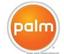 Palm