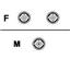 10 10 Computer Network connector (BNCTFMF)