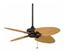 Fanimation FP7400RS Windpointe? Rust Ceiling
