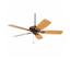 Fanimation TF700SN Edgewood? Delux Satin Nickel...