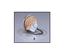 Fantech DB10 Pressure Switch Kit w/ Delay