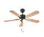 Oasis 23972 Antique Brass Fan