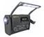 Pacific International LGTF38 AM/FM/Weather Radio