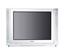 Panasonic 29