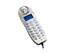 Radian Technologies SkyTone RST102 IP Phone