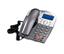 Radian Technologies SkyTone RST201 IP Phone