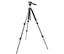 Radians Radian Pro-GT Tripod