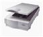 Umax Astra 2400U Flatbed Scanner