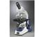 Unico G381 Monocular Microscope