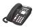 Avaya 4606 IP Phone