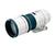 Canon EF 300mm f/4L IS USM Lens