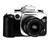 Canon EOS-50 / Elan II 35mm SLR Camera