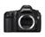 Canon EOS-5D Digital Camera with 24-105mm Lens