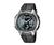 Casio AQ160W-1BV Wrist Watch