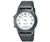 Casio AW49H-7BV Wrist Watch