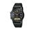 Casio AW49HE-1AV Wrist Watch