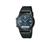 Casio AW49HE-2AV Wrist Watch