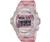 Casio Baby G BG169A 4AV Watch for Women