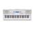 Casio CTK810 61 Key Keyboard