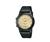 Casio Casual Classic AW49HE-9AV