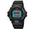 Casio G-Shock DW6600C1V Wrist Watch
