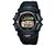 Casio G2300B-2V Wrist Watch