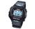 Casio Marine Gear DW2901V Wrist Watch