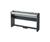 Casio Portable Keyboard with 88 Full-Size...