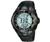 Casio Protrek Triple Sensor PRG70 1BVDR Watch for...