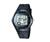 Casio W1011AV Wrist Watch