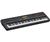 Casio WK110 76 Key Portable Keyboard