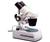 Celestron 4040 Binocular Microscope