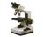 Celestron 4060 Binocular Microscope