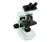 Celestron 44108 Binocular Microscope