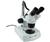 Celestron 44204 Binocular Microscope