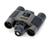 Celestron VistaPix 72200 (8x22) Binocular