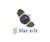 Citizen Eco Drive Army Watch for Men