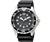Citizen Eco Drive EP6000-07H Wrist Watch