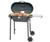 Coleman RoadTrip Charcoal Grill 9945-700