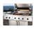 Dacor OBS52 Gas Grill