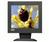 Daewoo F205 (Black) 15 in. Flat Panel LCD Monitor