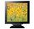 Daewoo F207B (Black) 17 in. Flat Panel LCD Monitor