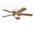 Emerson CF4800AB Premium Antique Brass Ceiling Fan
