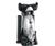 Euro-Pro WW-2810F Bagless Handheld Vacuum