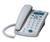 GE 29385GE1 Corded Phone (GE29385GE1)