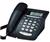 GE 29897GE2 Corded Phone (GE29897GE2)