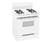 GE General Electric AGBS300PJ Gas Range