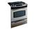 GE Profile JGS968SHSS Gas Kitchen Range
