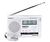 Grundig G1000A AM/FM/SW Radio