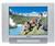 Hitachi C25-FL30S 25" TV